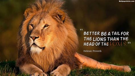 quote with lion|motivational quotes with lion images.